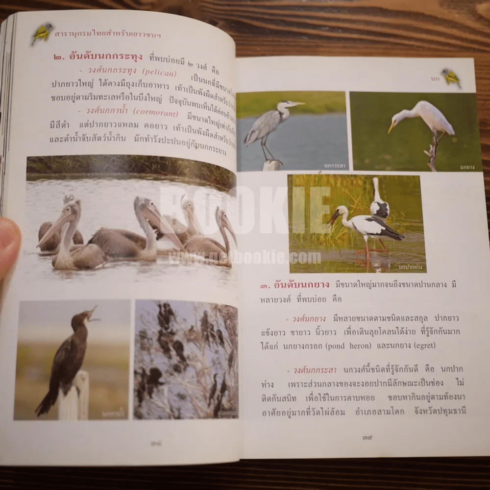สารานุกรมไทยสำหรับเยาวชน  ฉบับเสริมการเรียนรู้ เล่ม 7 นก,ผีเสื้อ,ปลาสวยงาม