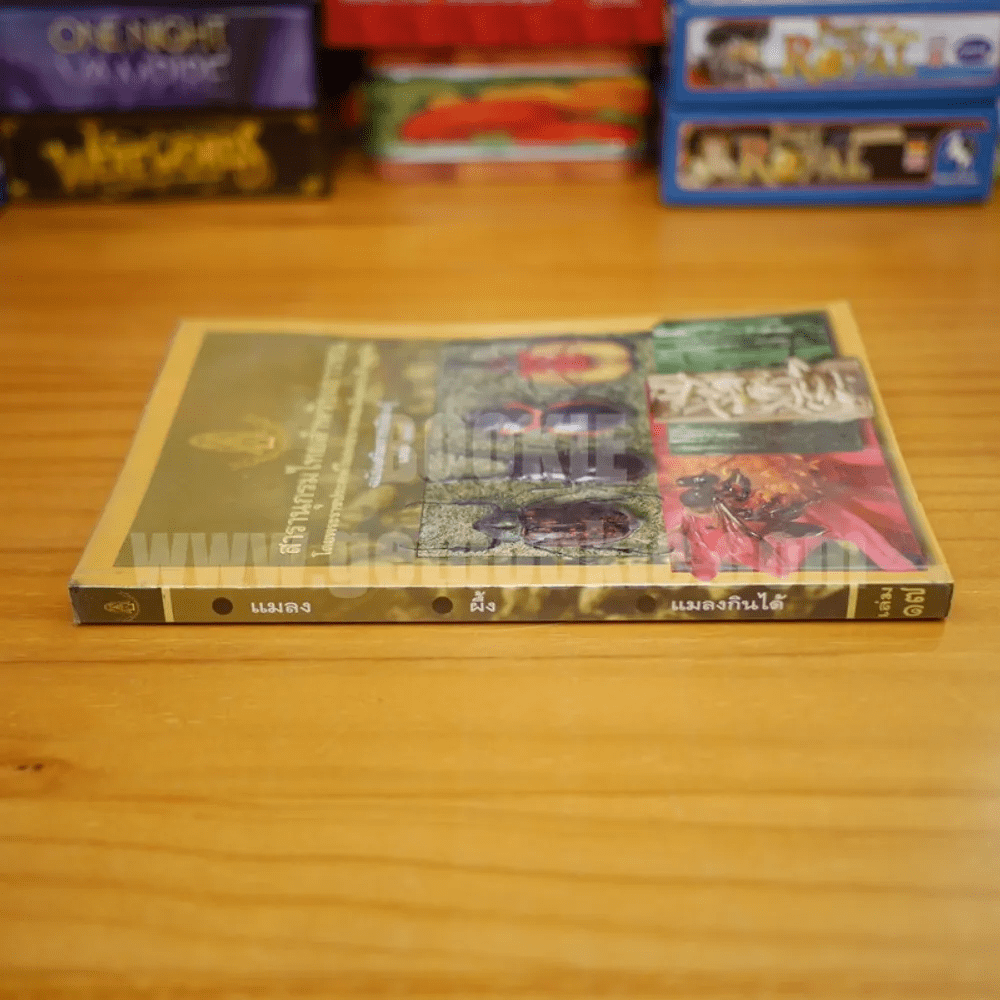 My Image 89