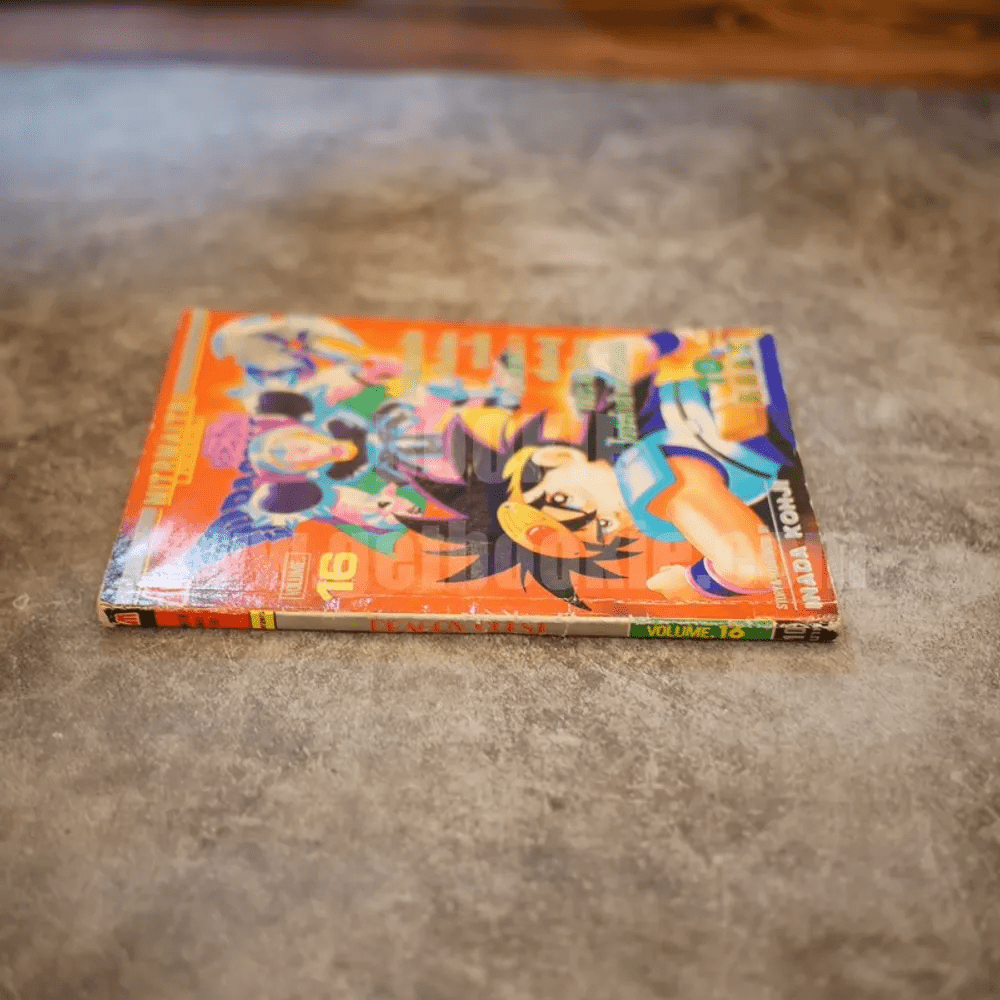Dragon Quest Volume.16