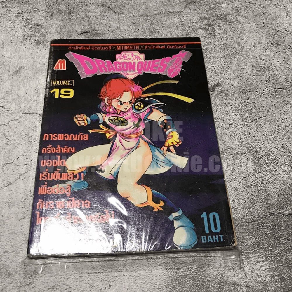 Dragon Quest Volume.19