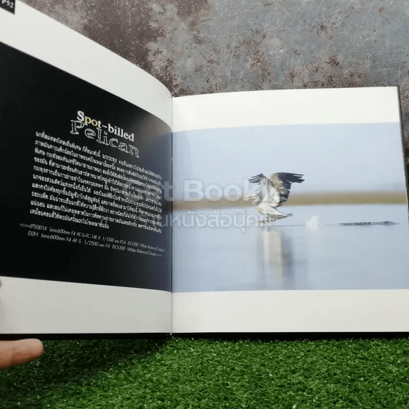 Photographic Art of Thai Bird ความในภาพนก 2 เล่ม