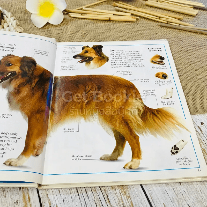 Pet Care Guides For Kids PUPPY