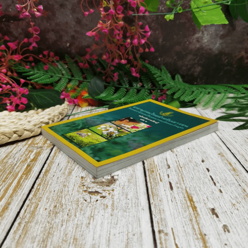 My Image 33