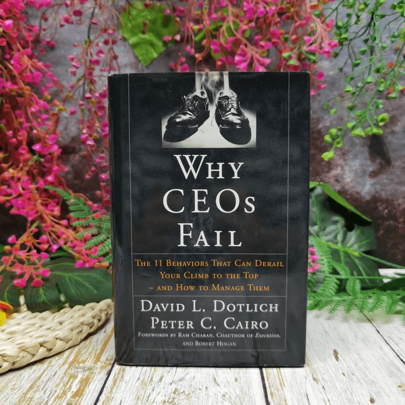 Why CEOs Fall