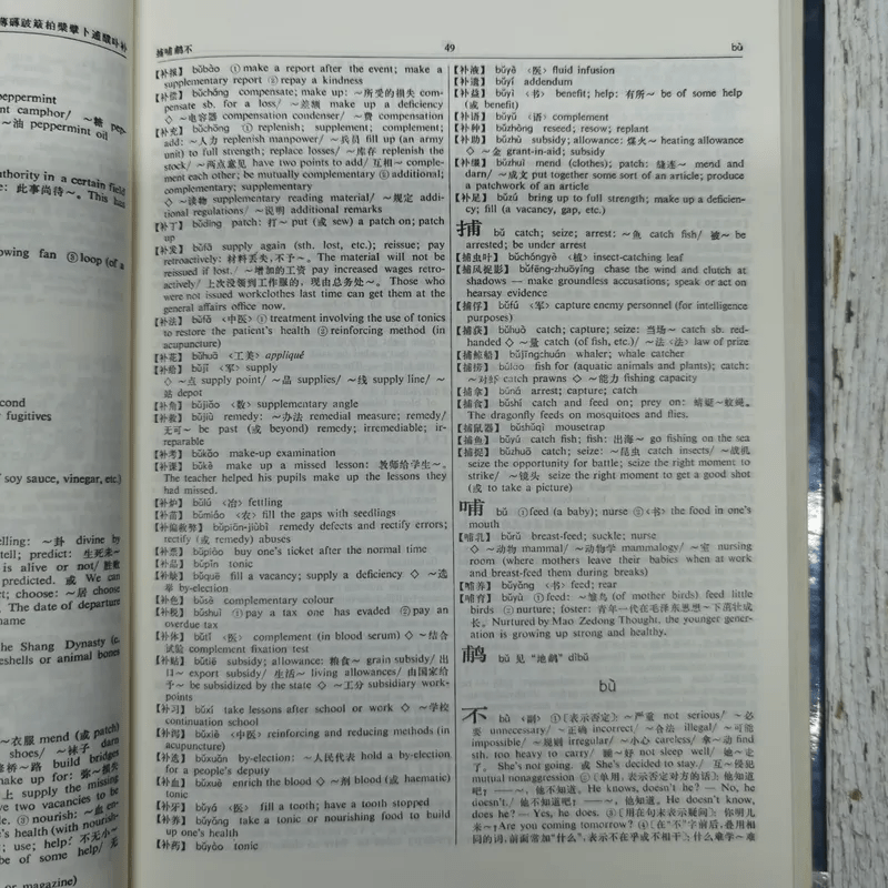 The Chinese-English Dictionary