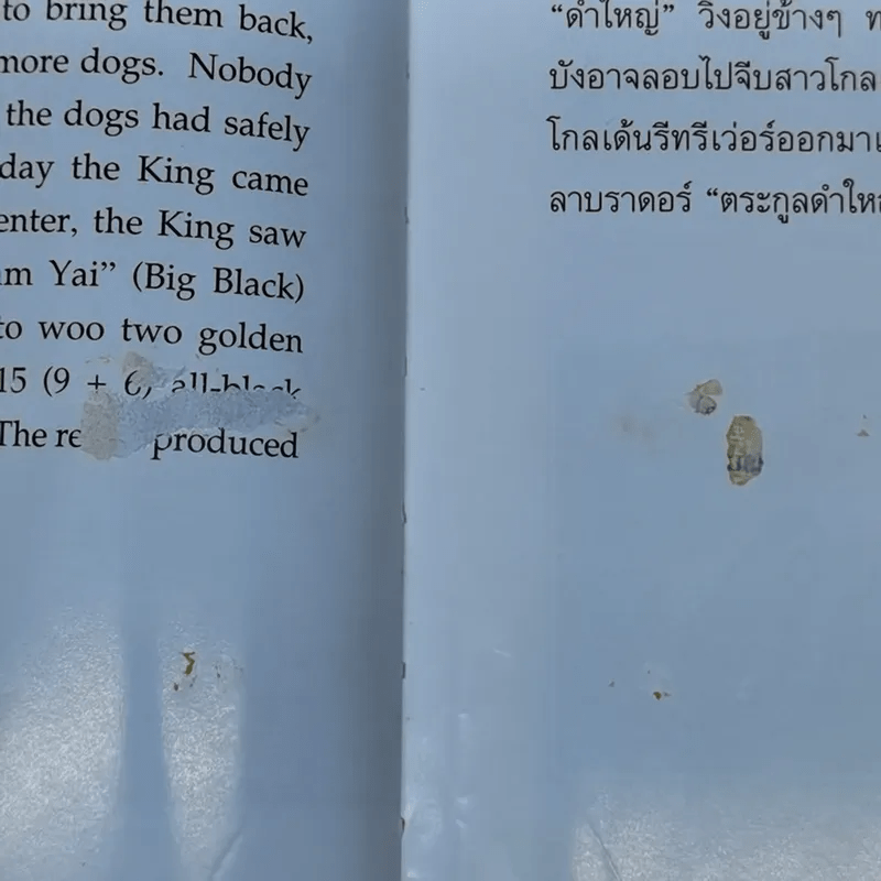 เรื่อง ทองแดง The Story of Tongdaeng (ปกแข็ง)