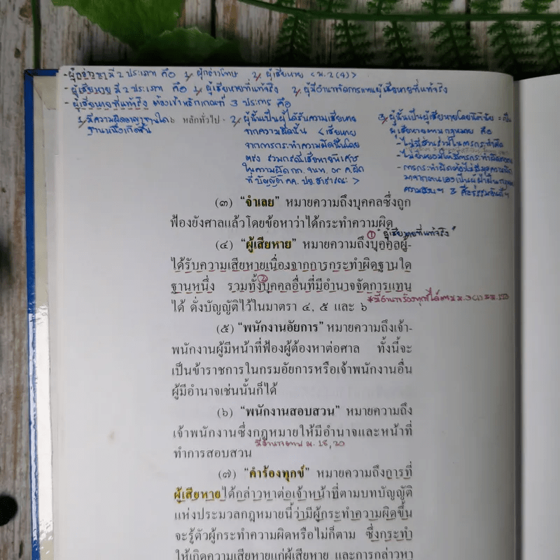 ประมวลกฎหมายวิธีพิจารณาความอาญา (ฉบับสมบูรณ์) - ไพโรจน์ วายุภาพ