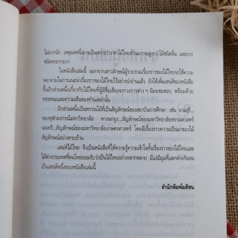 เสน่ห์ไม้ไทย - เสาวลักษณ์ สุขสมัย