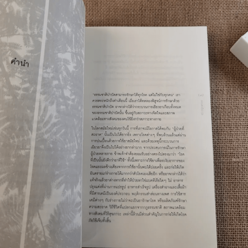 ธรรมชาติบำบัด ศิลปะการเยียวยาร่างกายและจิตใจเพื่อสมดุลของชีวิต