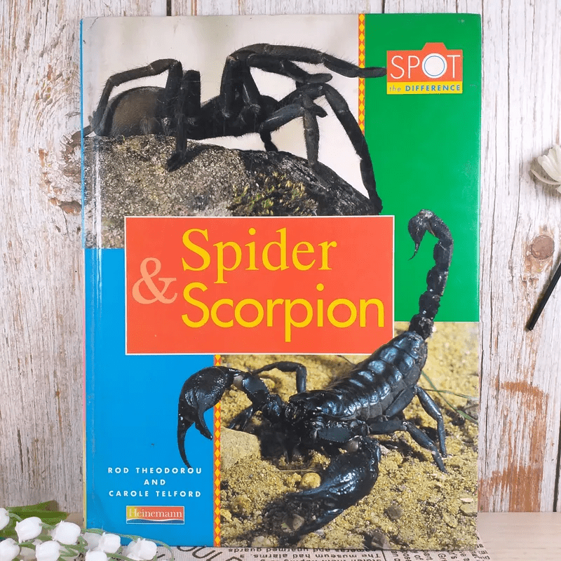 Spider & Scorpion
