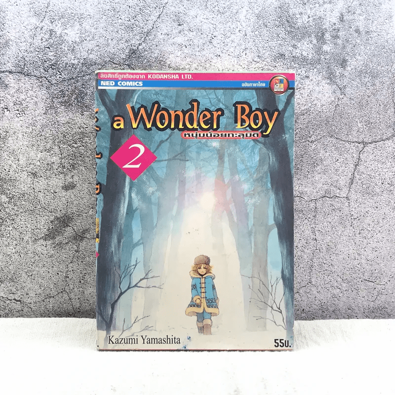 A Wonder Boy หนุ่มน้อยทะลุมิติ เล่ม 2