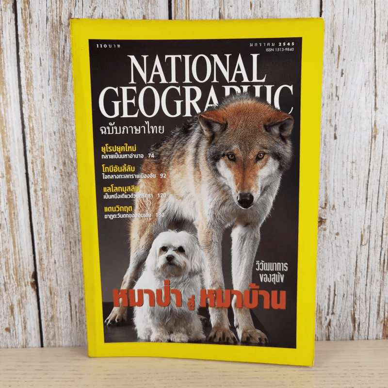 National Geographic ม.ค.2545 วิวัฒนาการของสุนัข หมาป่าสู่หมาบ้าน