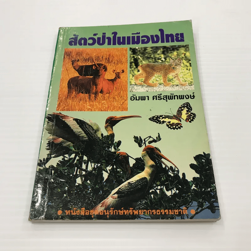 สัตว์ป่าในเมืองไทย - อัมพา ศรีสุพัทพงษ์