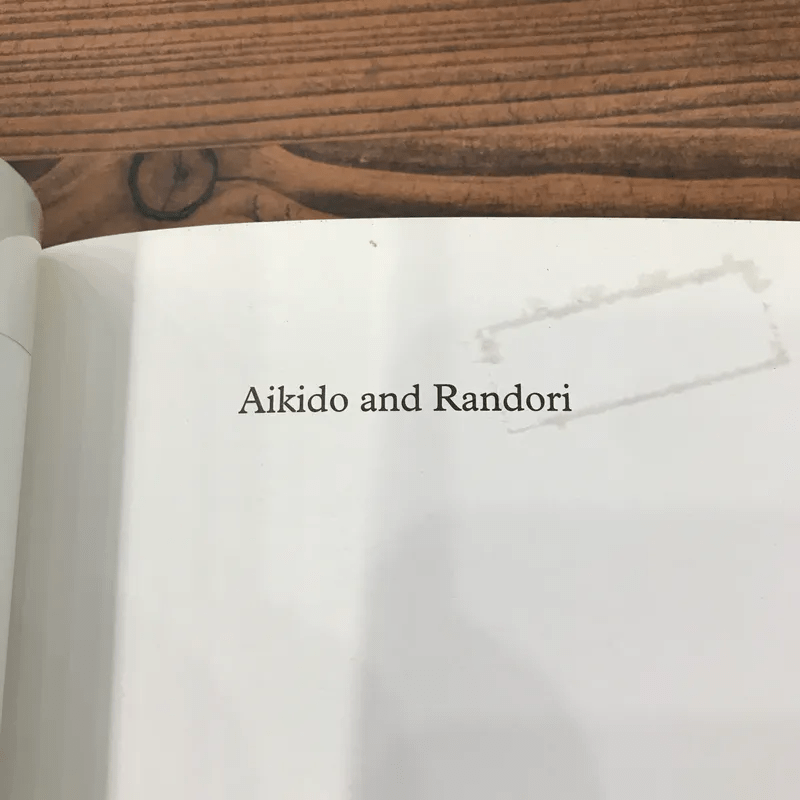 Aikido and Randori - Scott Allbright