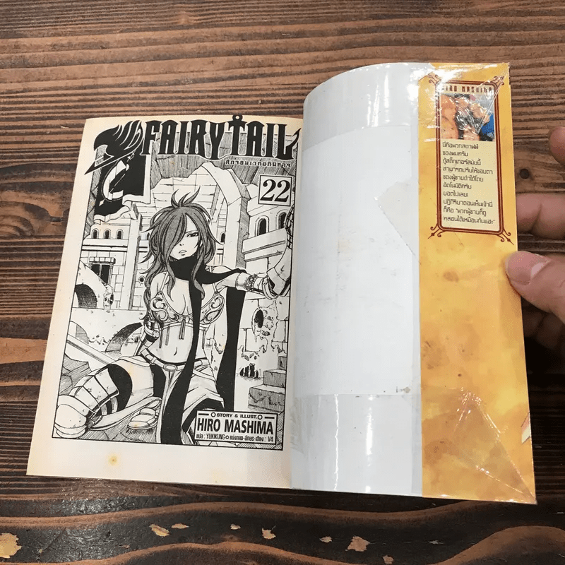 Fairy Tail แฟรี่เทล ศึกจอมเวทอภินิหาร เล่ม 20,21,22,23,24,25,43