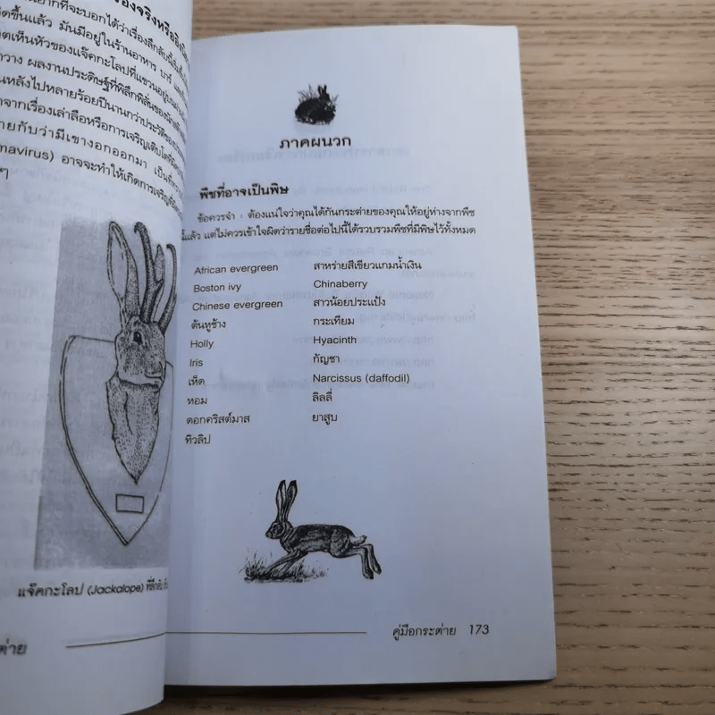 คู่มือกระต่าย The Rabbit Handbook - กณิกกนันท์ ลีฬวรรณ
