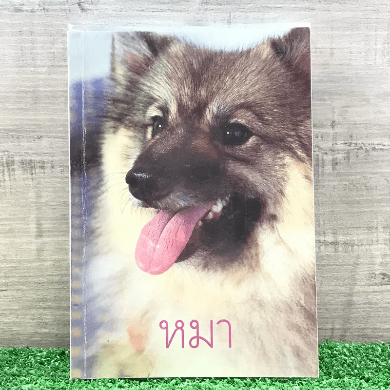 หมา - เชียง (พิมพ์ครั้งแรกในนิตยสารพลอยแกมเพชร)