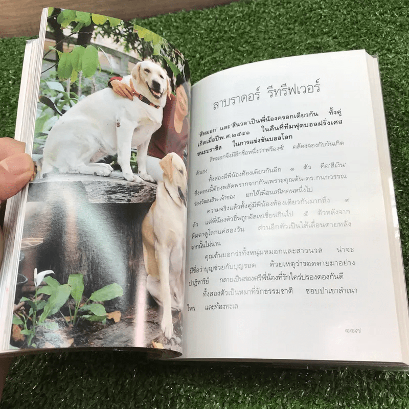 หมา - เชียง (พิมพ์ครั้งแรกในนิตยสารพลอยแกมเพชร)