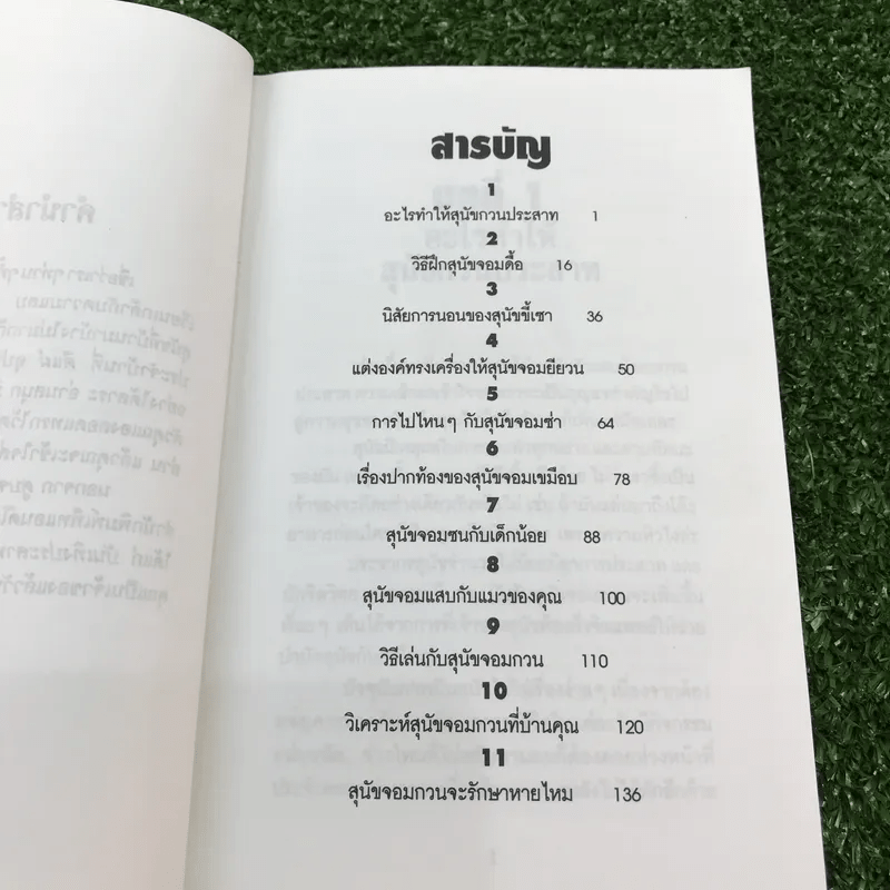 ตูบจอมเฮี้ยว - สตีเฟน เบเกอร์