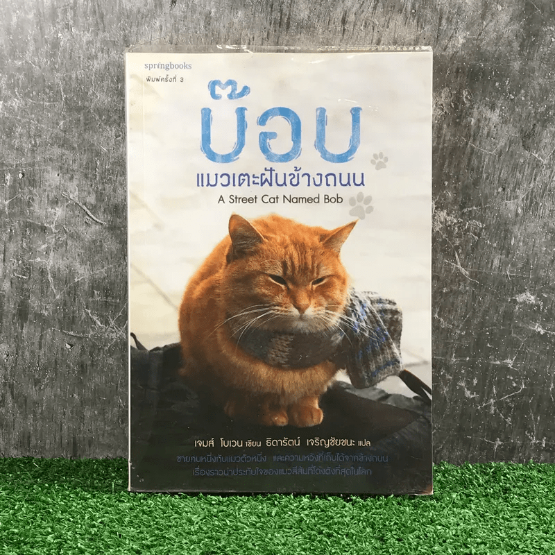 บ๊อบ แมวเตะฝันข้างถนน A Street Cat Named Bob - เจมส์ โบเวน