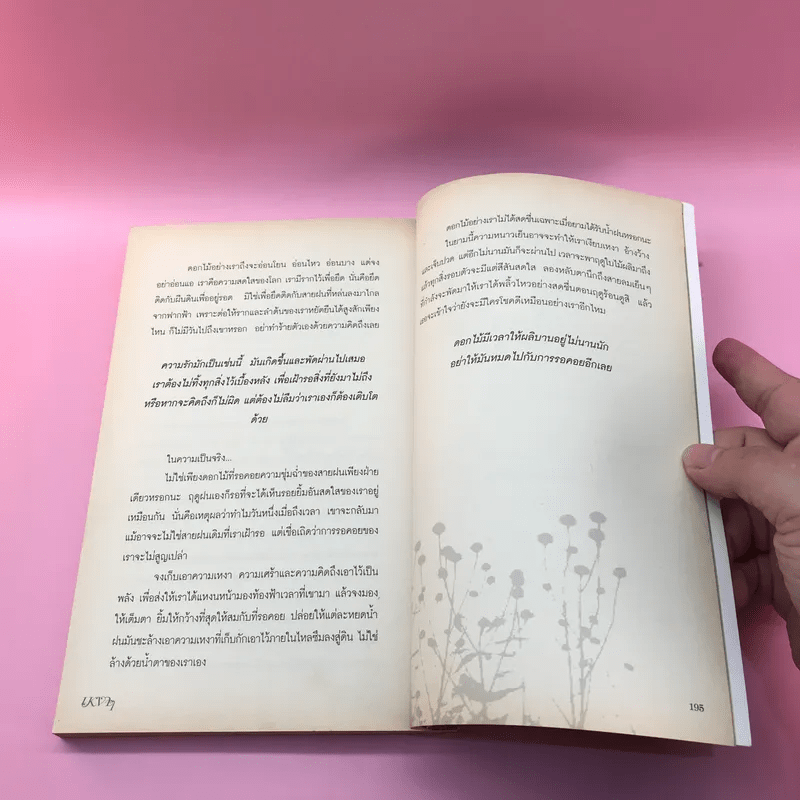 หนังสือของความรัก ฉบับเหงาๆ
