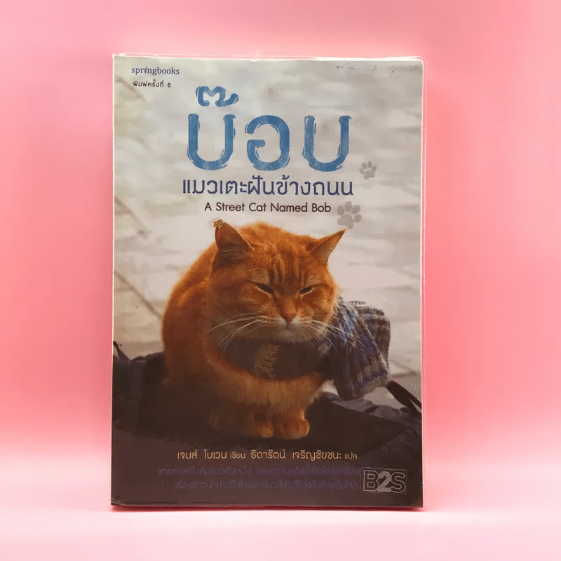 บ๊อบ แมวเตะฝันข้างถนน A Street Cat Named Bob - เจมส์ โบเวน