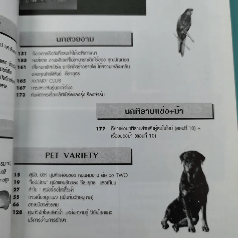 Pet-Mag นิตยสารสัตว์เลี้ยง ปีที่ 1 ฉบับที่ 12 มิ.ย.2543