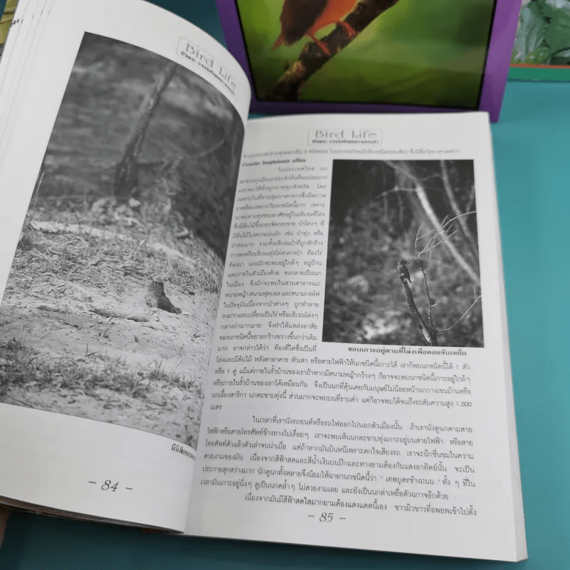 ชีวิตนก จากบันทึกและความทรงจำ Bird Life From Records & Remembrance Vol.1-3 - สุธี ศุภรัฐวิกร