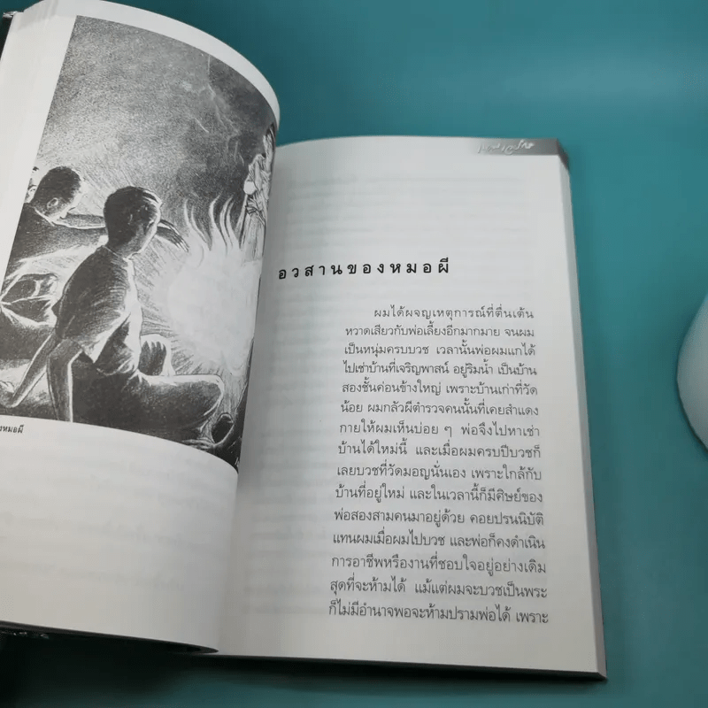 หนังสือชุด ภูตผีปิศาจไทย 100 ปี เหมเวชกร วิญญาณที่เร่ร่อน