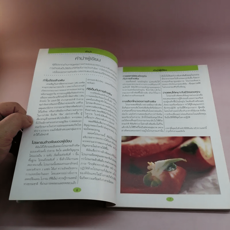 คู่มือดูแลสุขภาพด้วยการล้างพิษ Detox Handbook