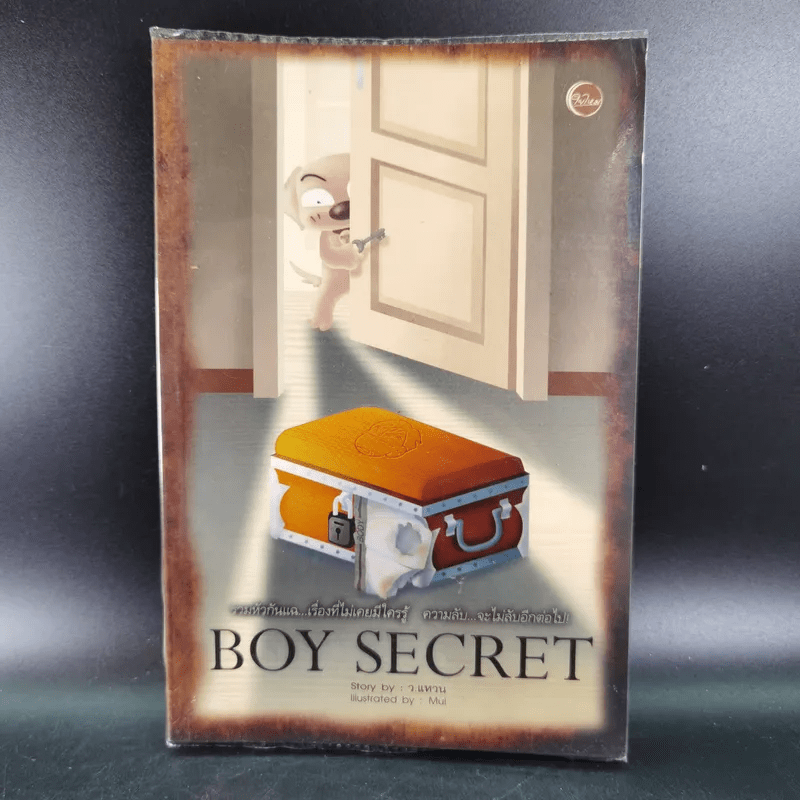 Boy Secret - ว.แหวน