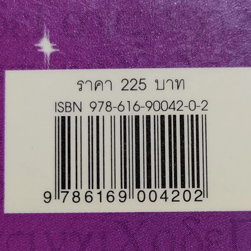 Gay Vinci Code รหัสลับ เกเก้วินชี - Pascal Fioretto