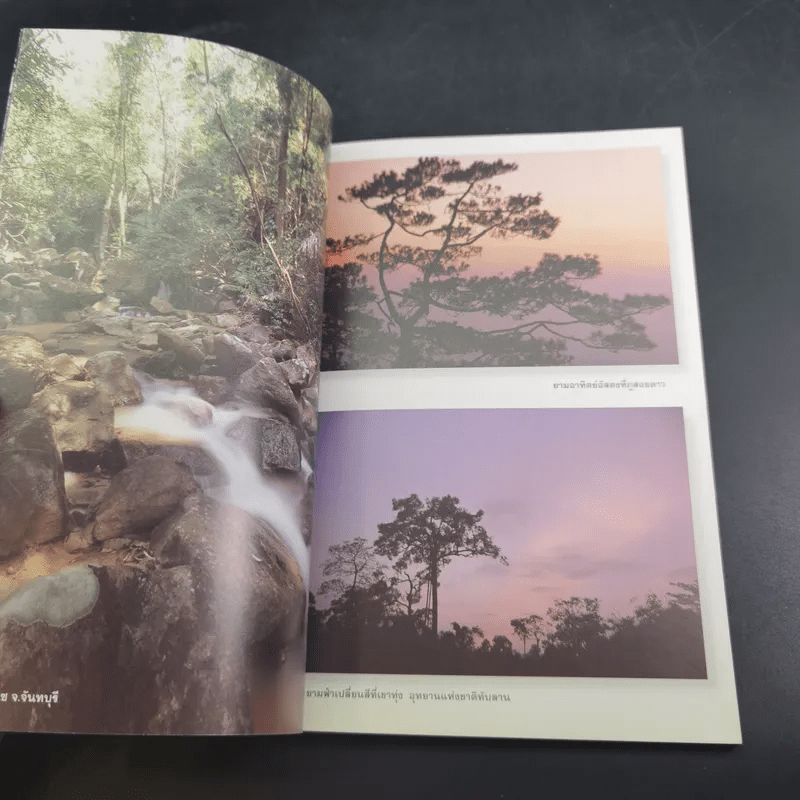 ลุยป่าหน้าฝน Amazing Thailand 1998-1999