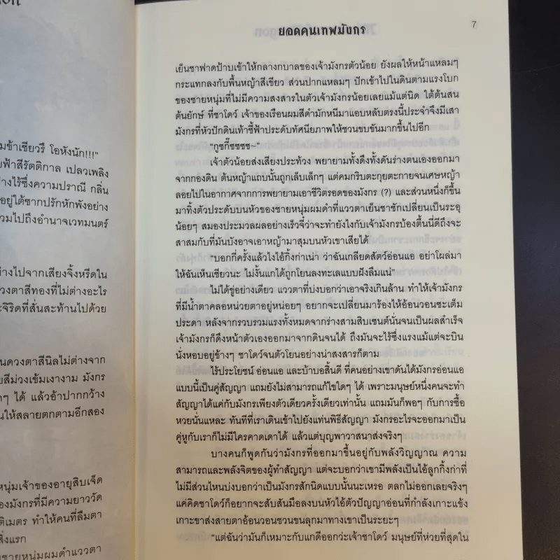 Mission of Dragon ยอดคนเทพมังกร - ชาโดว์