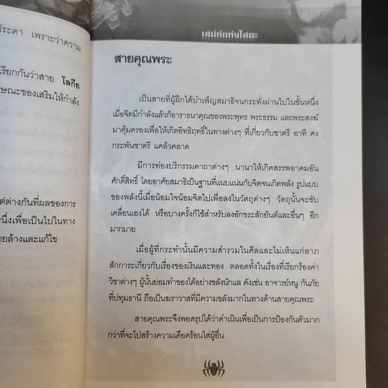 เสน่ห์แห่งไสยะ - คม พยัคฆเวทย์