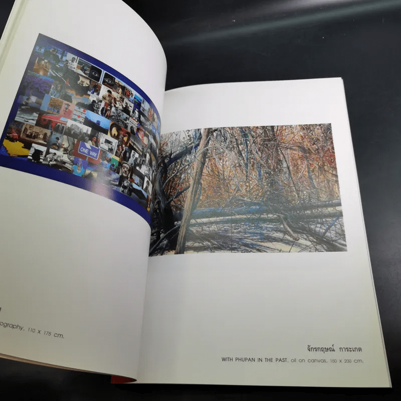 นิทรรศการศิลปกรรม โดย ภาควิชาทัศนศิลป์ คณะศิลปกรรมศาสตร์ จุฬาลงกรณ์มหาวิทยาลัย 3-14 ก.ย.2551