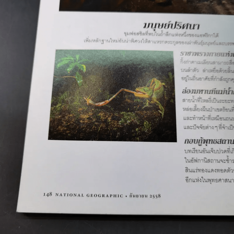 National Geographic ก.ย.2558 งาเถื่อน