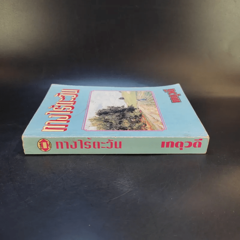 ทางไร้ตะวัน - เกตุวดี