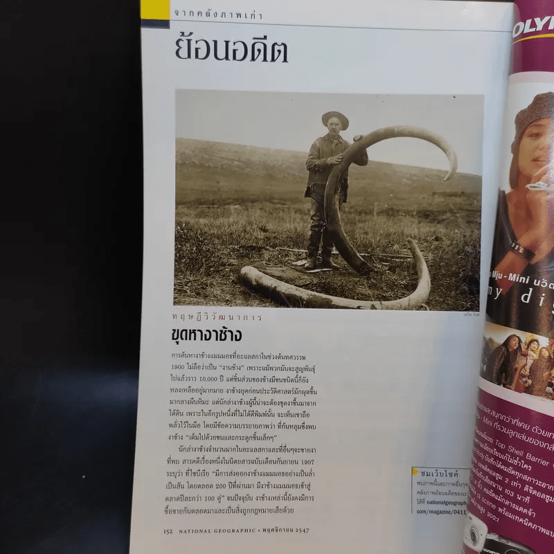 National Geographic พ.ย.2547