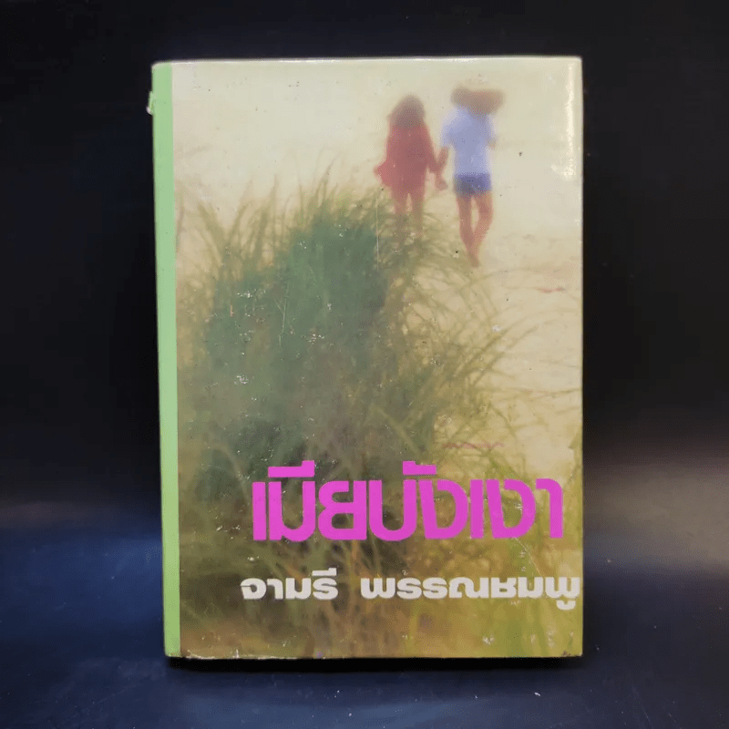 เมียบังเงา - จามรี พรรณชมพู