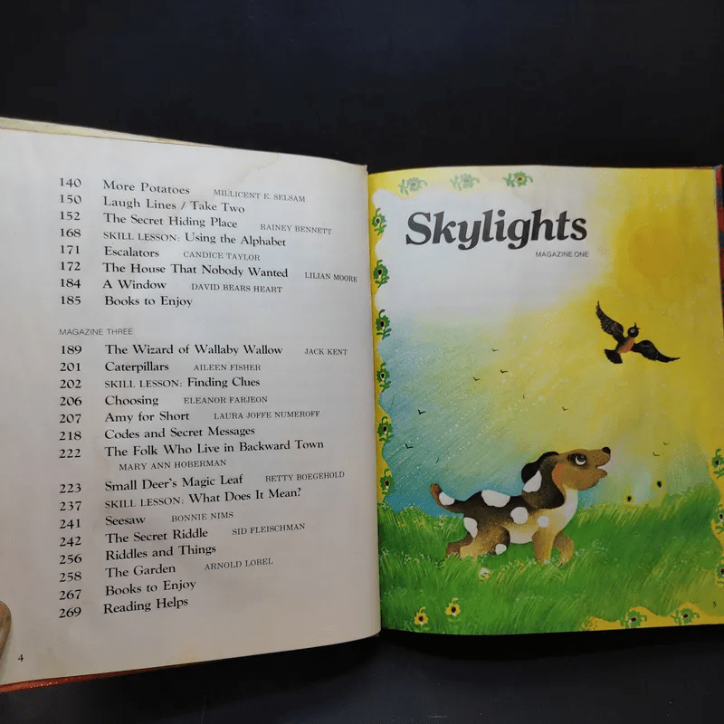 Skylights - William K. Durr, Jean M. Lepere, John J. Pikulski