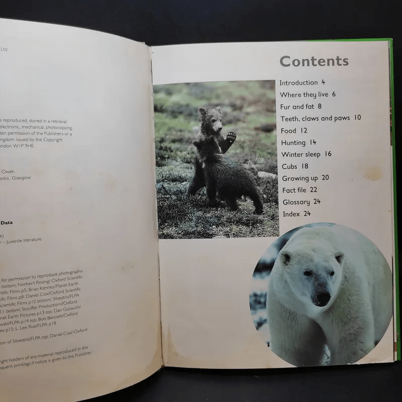 Polar Bear & Grizzly Bear
