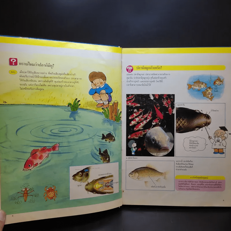 หนังสือชุดความรู้เบื้องต้นสำหรับเด็ก สิ่งที่น่าทำ + ชีวิตในน้ำ
