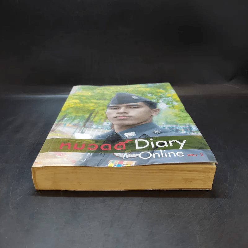 หมวดตี้ Diary Online เล่ม 2