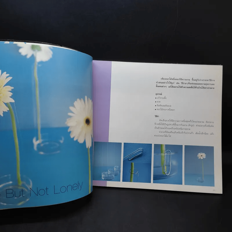 101 iDeas Flower Vol.4 - สันติพงษ์ คงรักษ์