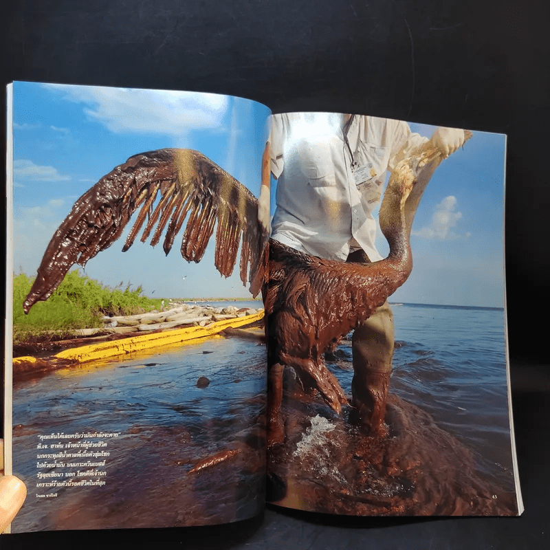 National Geographic ฉบับที่ 111 ต.ค.2553 วิกฤติน้ำมันรั่ว