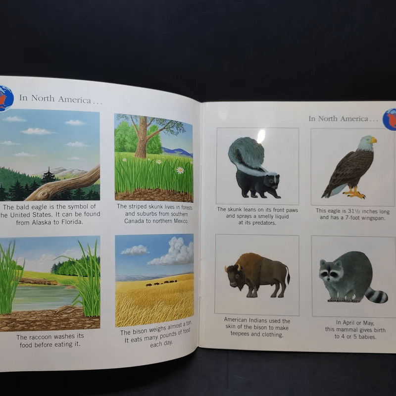 The First Discovery Book Animals