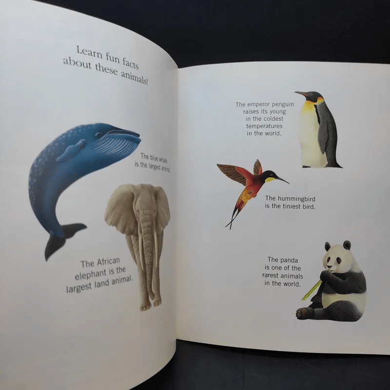 The First Discovery Book Animals