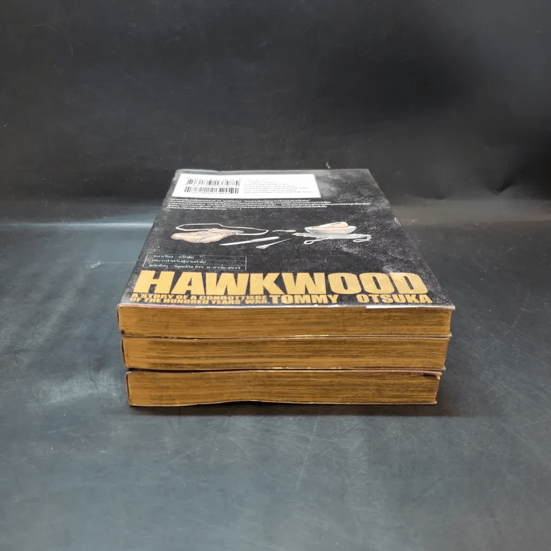 วีรบุรุษแผ่นดินเดือด Hawkwood เล่ม 1-3