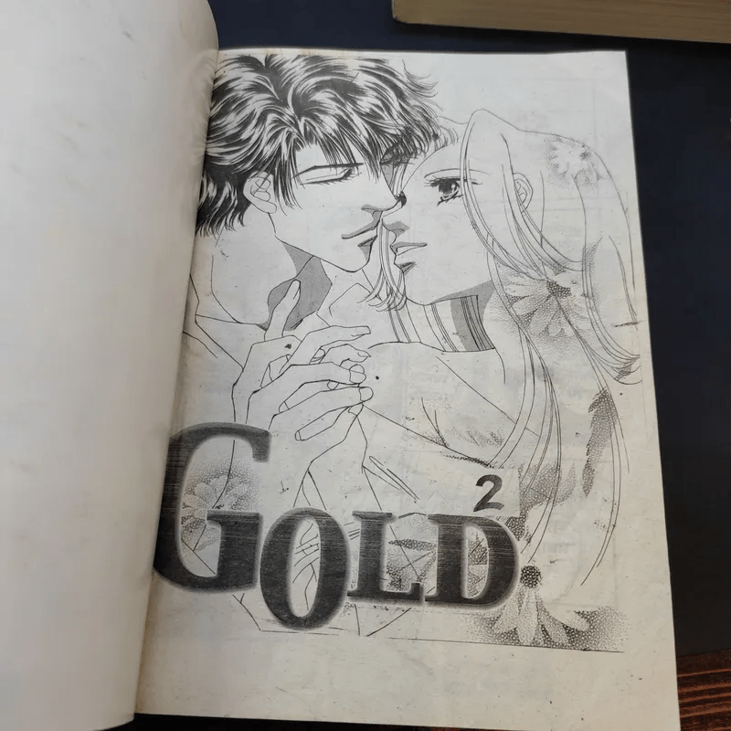 Gold โกลด์ รักนี้สีทอง 2 เล่มจบ